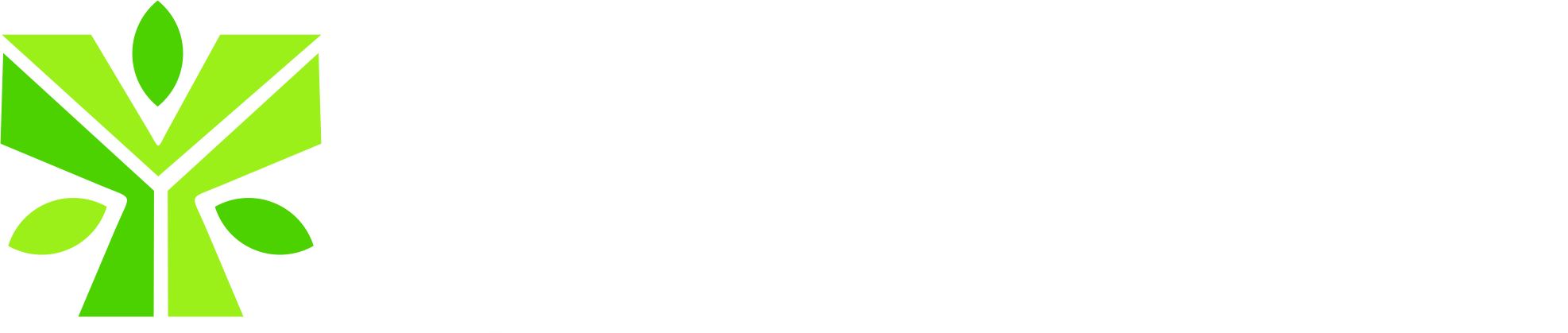 BenueTech Foundation logo_1_png