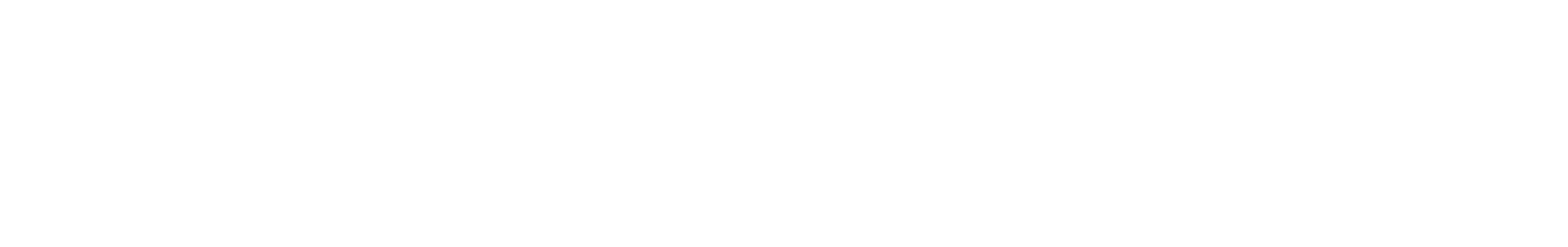 primary logo white color